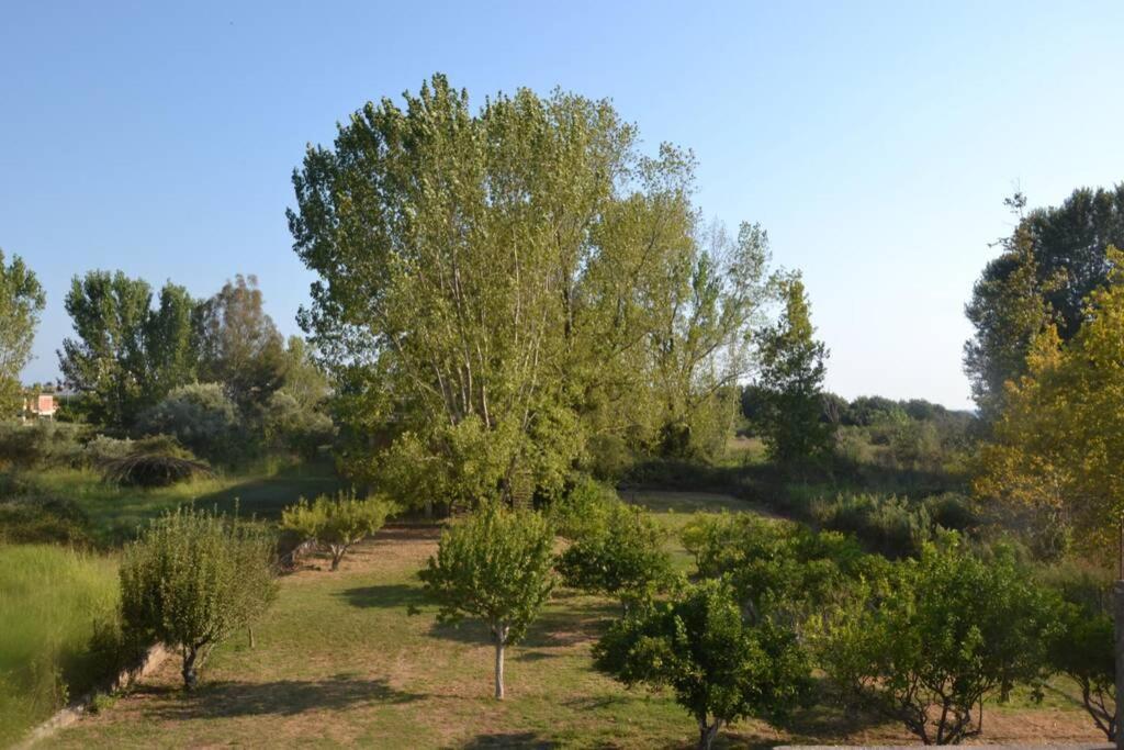Beach House Into The Green! Preveza Exterior foto